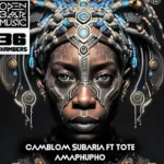 Camblom Subaria – Dimension