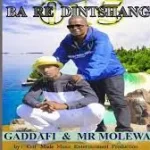 Gaddafi and Mr Molewa – Ba Re Dintshang