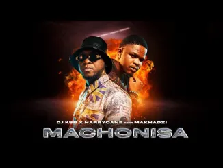 HarryCane & Makhadzi – Machonisa