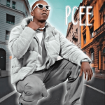 Pcee ft T & K, Djy Star.kay & Muziqal Jazz – Thula Mabota