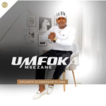 Umfoka Msezane – Ngajolisa ishende