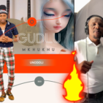 Ogudlumkhukhu ft. Ithwasa Lekhansela – Unodoli