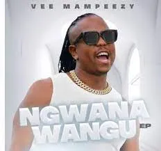 VEE MAMPEEZY x DJ NGWAZI x DJ MAPUTO – MMAMPUDI