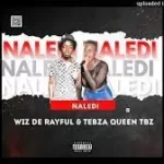 Wiz De Rayful & Tebza Queen TBZ – Naledi 2.0