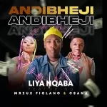 Liya Nqaba - Andibheji Csana