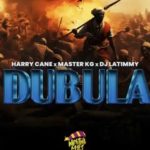 Dubala Remix by Harry Cane ft Master KG