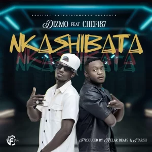 Dizmo ft Chef 187 Nkashibata