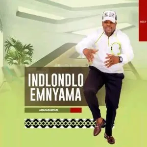 Indlondlo Emnyama Amagadamfazi