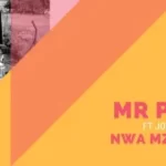 MR POST – Nwa Mzamani