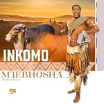 Inkomo – Mtebhosha