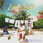 Tekunbi – Labaika