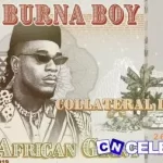 Burna Boy – Collateral Damage