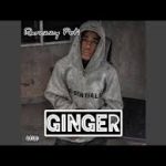 Ramzzy Peti – Ginger (Sped Up)