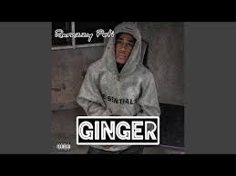 Ramzzy Peti – Ginger (Sped Up)