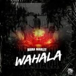 Naira Marley – Wahala