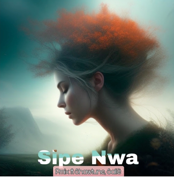 Pmix – Sipe Nwa Ft. Salle & Shawtune