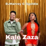 DJHarvey & Ggoldie – Kale Zaza Ft. Tma RSA, Wise Fellas, Chillie SA, Chley, Mafis Musiq & Zee Nxumalo