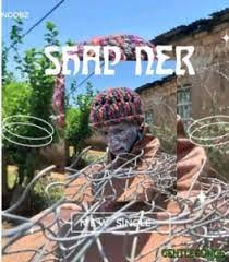 shap ner new song