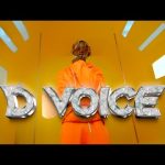 D Voice – Lolo