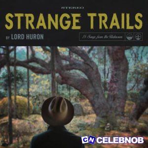 Lord Huron – The Night We Met