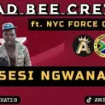 BAD BEE CREW – MASESI NGWANAKA (NEW 45) ft. NYC FORCE