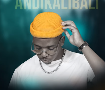 Zuko SA “Andikalibali”