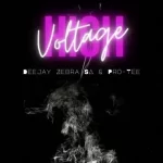 EP: Deejay Zebra SA & Pro-Tee – High Voltage