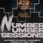 Dzo 729 – Number Number Session 10