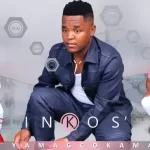 ALBUM: Inkos’yamagcokama – One Night Stand