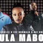 Shakes & Les X Zee Nxumalo X 031 Choppa – Thula mabota