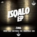 Umshini & Zuma – iMali Mali