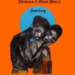 Shimza - Darling gt Aloe Blacc